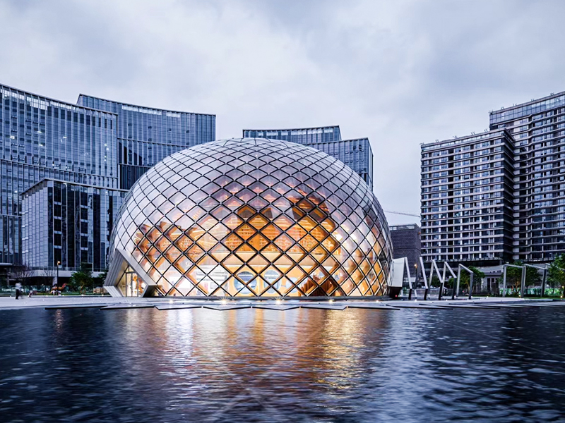 Guangdong-Hong Kong-Macao Greater Bay Area National Nanotehnologie Structura din lemn Inovare Institutul de Cercetare
