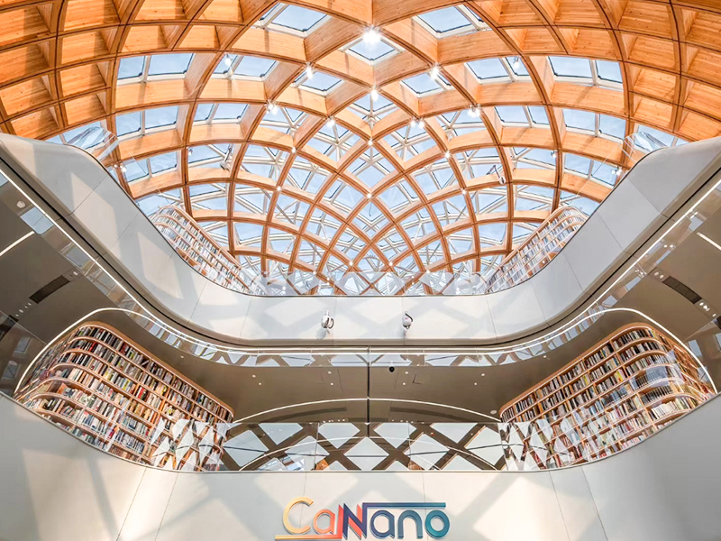 Guangdong-Hong Kong-Macao Greater Bay Area National Nanotehnologie Structura din lemn Inovare Institutul de Cercetare